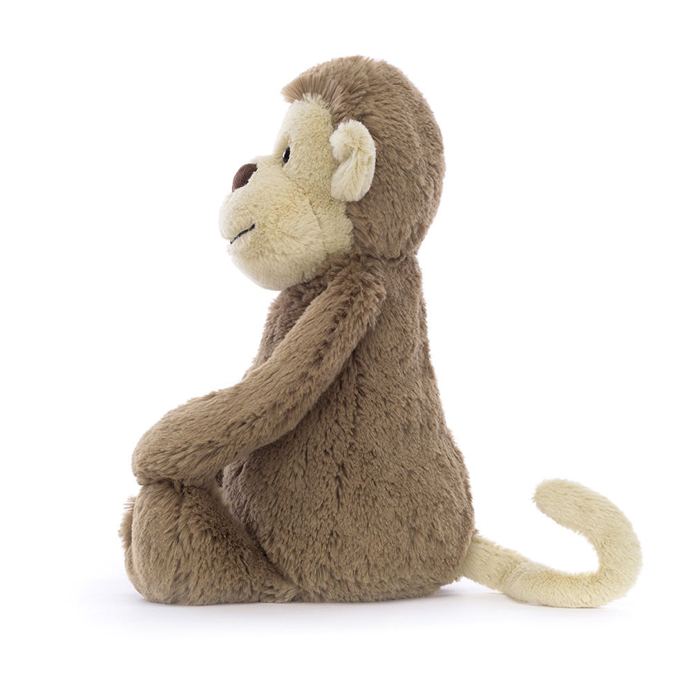 Alternative view of Bashful Monkey