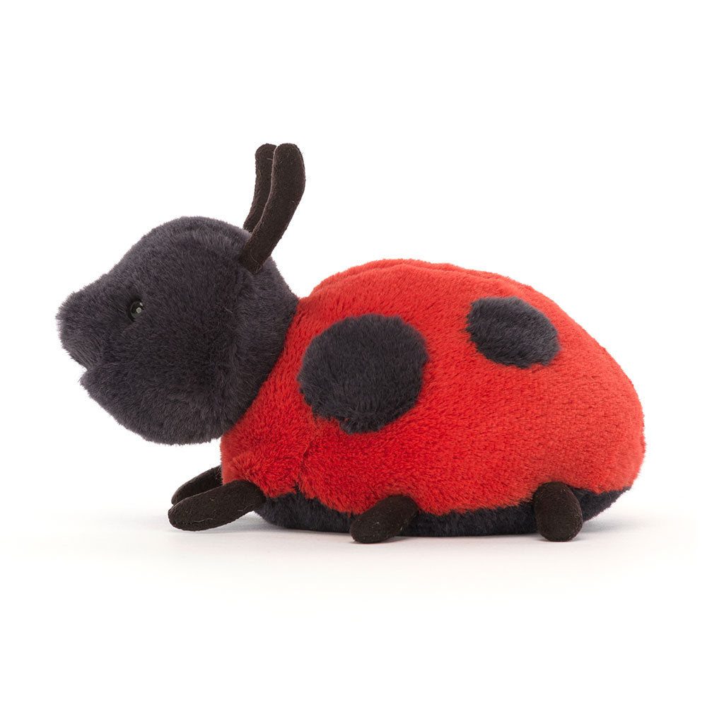 Alternative view of Layla Ladybird
