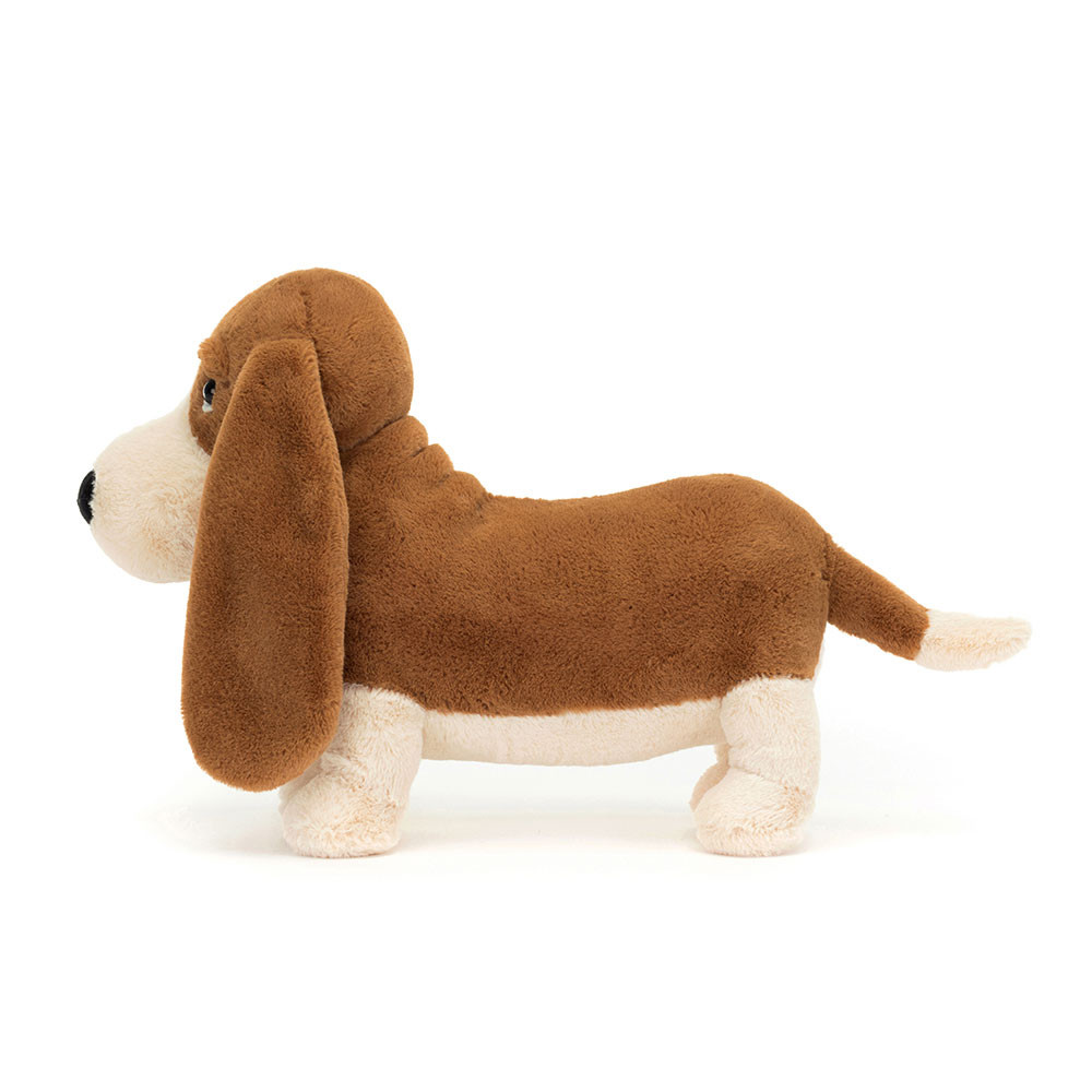 Alternative view of Randall Basset Hound
