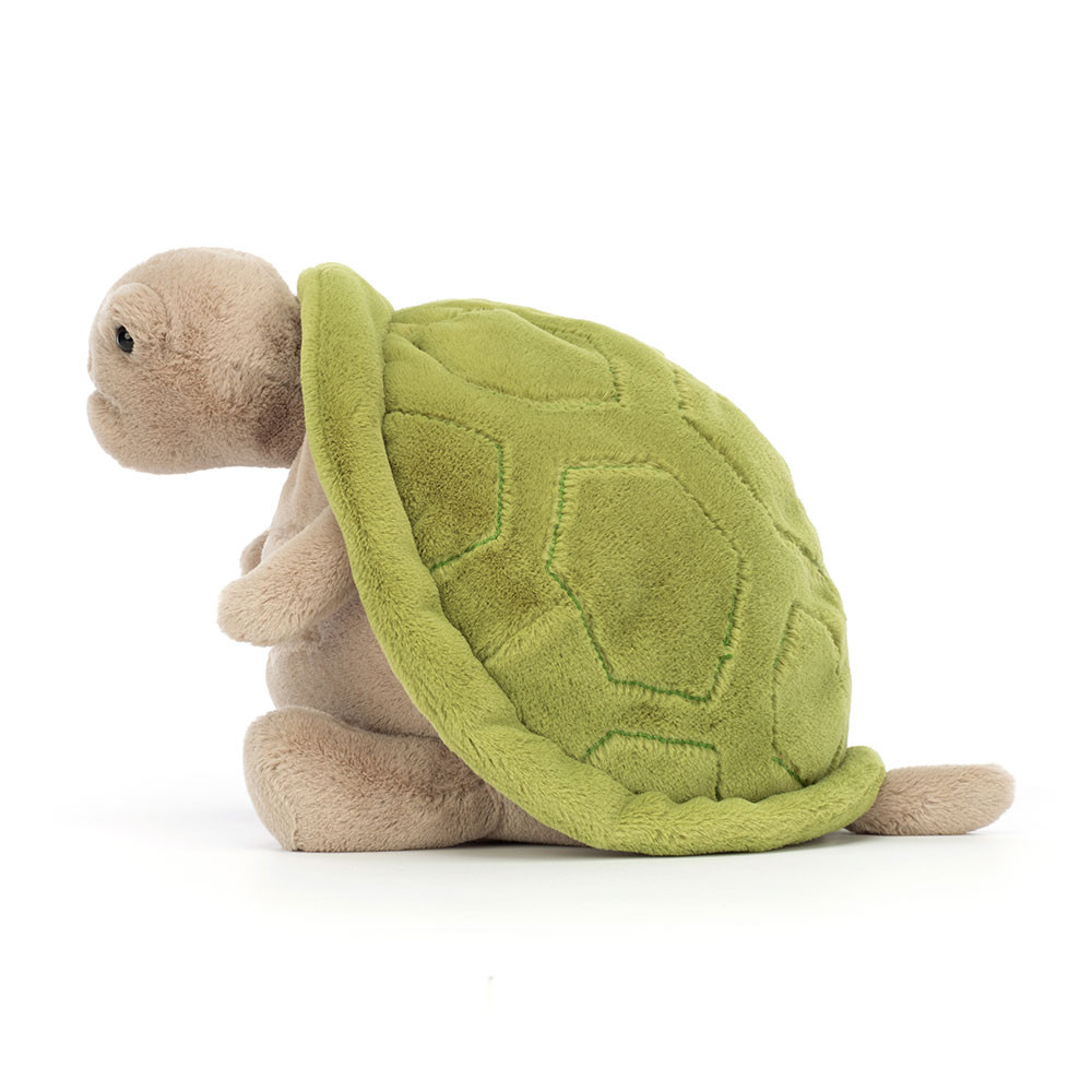 Alternative view of Timmy Turtle